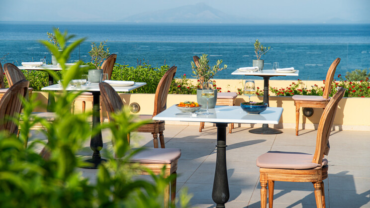 Nido, Mar-Bella Collection